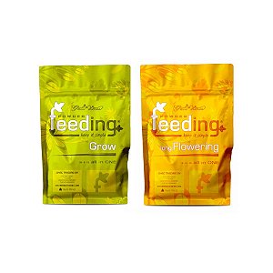 Kit BASIC Feeding Long Flowering - GREEN HOUSE