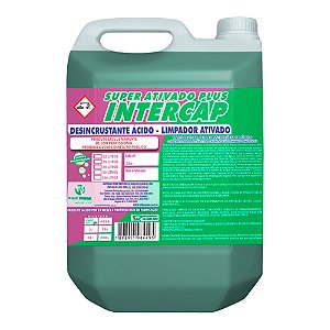 Detergente Ácido Intercap Vale Verde 5L