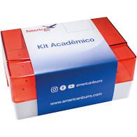 Kit Acadêmico Prótese e Clinica Integrada FIMCA - American Burrs