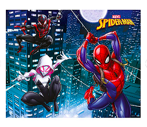 Painel Plástico Homem-Aranha Animação 100x78cm Regina Festas