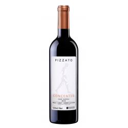 PIZZATO CONCENTUS 2018/2019