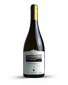 MONTE AGUDO UNOAKED CHARDONNAY 2019
