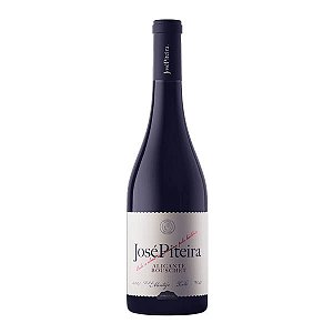 JOSÉ PITEIRA ALICANTE BOUSCHET