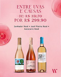 KIT - ENTRE UVAS E VINHOS