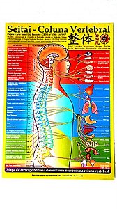 MAPA COLUNA VERTEBRAL SEITAI