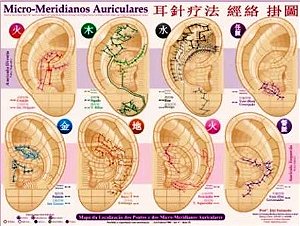 MAPA MICRO MERIDIANOS AURICULARES