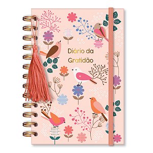 DIARIO DA GRATIDAO LEVE AMOR