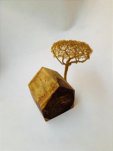 MINI CASA COM ARVORE DA VIDA