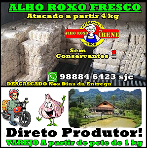 Alho roxo fresco descascado, direto produtor de Goias, ATACADO whats  98884 6423 A PARTIR DE  3 KG ATACADO
