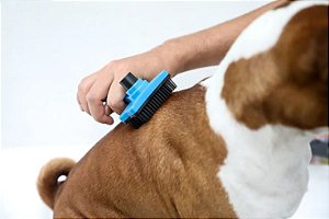 Rasqueadeira Para Cães E Gatos Prática Chalesco - Azul