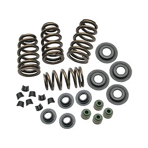 Kit de Molas de Válvulas .650 S&S Cycle para Twin Cam 2005-2017 e Sportster 2004-2021