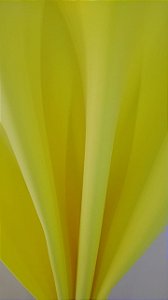 EVA CORES ESPECIAIS ( AMARELO FLORECENTE ) PACOTE COM 5 FOLHAS 40X60 1.5mm.