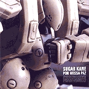 CD Sugar Kane, Por Nossa Paz