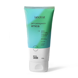 Gel Massageador De Arnica Dia A Dia 100g Labotrat