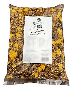 Granola Tradicional 1kg Mix Cereais Frutas Castanhas Biomass