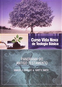 Curso Vida Nova de Teologia Básica - Vol. 2 - Panorama do Antigo Testamento Capa comum