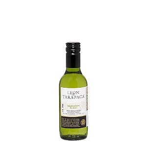 VINHO TARAPACÁ LEÓN SAUVIGNON BLANC 187ML