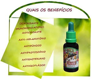 Extrato de própolis 30ml - Própolis verde