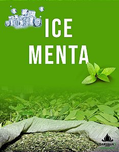 Erva Mate Carvalho Ice Menta (500g)