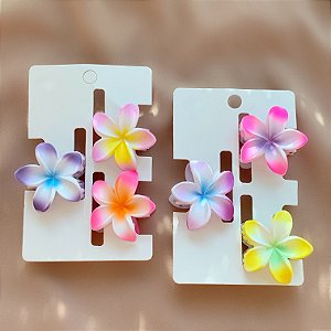 PRESILHA KIT FLORES DEGRADÊ BIJU