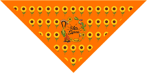 Bandanas Juninas Media