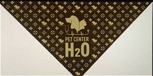 Bandanas Personalizadas Grandes