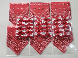 Conjunto Bandanas e Laços