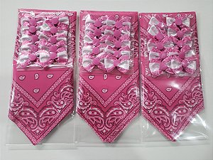 Kit de Laços e Bandanas 07