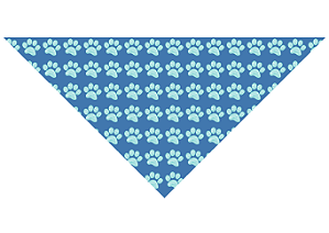 Bandanas dia a dia Medias