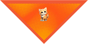 Bandanas Grandes dia a dia 02