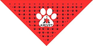 Bandanas Personalizadas Medias