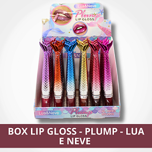 Box Lip Gloss - Plump  - 24Un.
