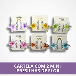 Cartela com 2 Mini Presilhas de Flor - Sortido