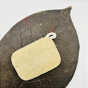 Esponja Esfoliante Natural de Bucha Vegetal