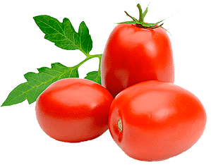 TOMATE SALADETE KG