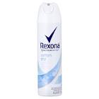 DESODORANTE AERO REXONA FEM COTTON 90GR
