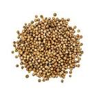 COENTRO GRAO CAROL 50GR