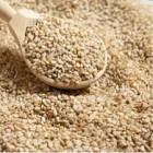 GERGELIN BRANCO BRASNUTRY 150GR