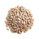 SEMENTE DE GIRASSOL 150GR