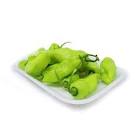 PIMENTA CHEIRO BDJ 70GR