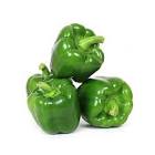 PIMENTAO VERDE KG