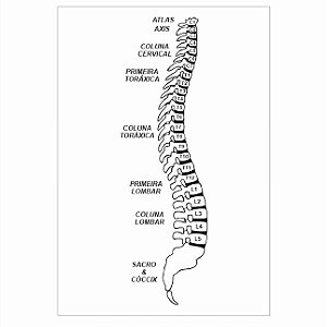 R82 - Coluna Vertebral MDF 6mm Radiestesia Radiônica com Filme Transparente de Proteção