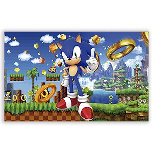 Painel Retangular - Sonic - Sublimado 3D