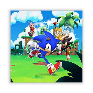 Painel Quadrado - Sonic - Sublimado 3D