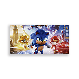 Painel Retangular - Sonic Tails Knuckles - Sublimado 3D