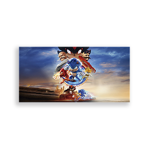 Painel Retangular - Sonic Shadow - Sublimado 3D