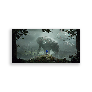 Painel Retangular - Sonic - Sublimado 3D