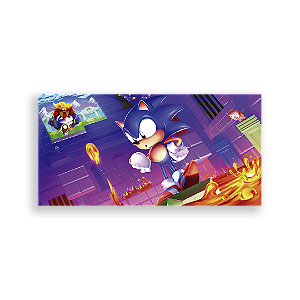 Painel Retangular - Sonic - Sublimado 3D