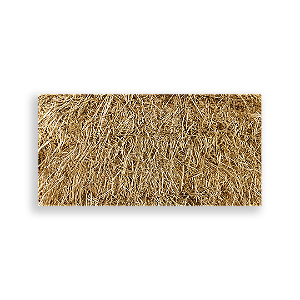 Painel Retangular - Fundo Palha - Sublimado 3D