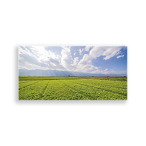 Painel Retangular - Fundo Mundo Grama - Sublimado 3D